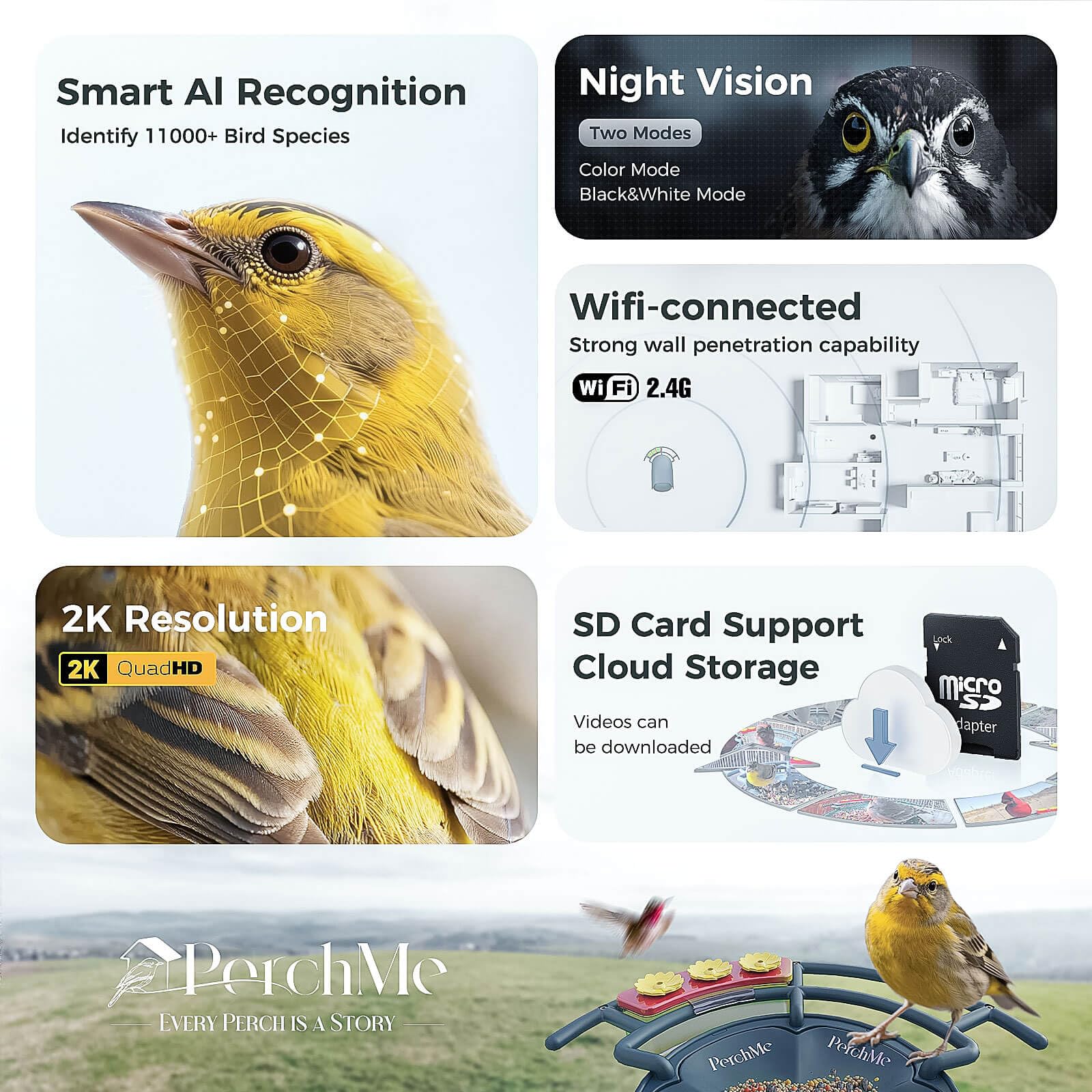 Comedero inteligente para pájaros con cámara, cámara de observación de aves alimentada por energía solar para exteriores, detección de movimiento de captura automática 2K HD con identificación