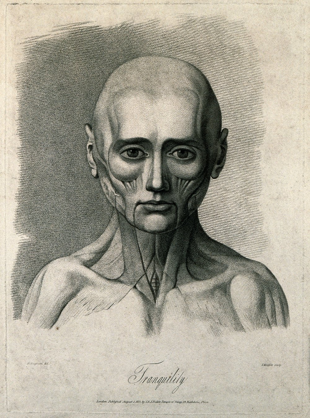 Lámina Face Showing Muscles de George Stubbs: impresión artística formato mediano