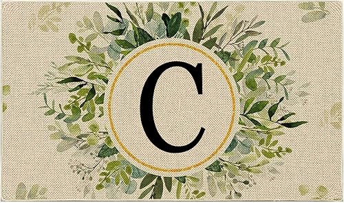 Miniatura 4 de Tapetes de puerta personalizados con apellido familiar, 24 x 16 pulgadas, antideslizantes, para entrada al hogar, puerta delantera, tapete de