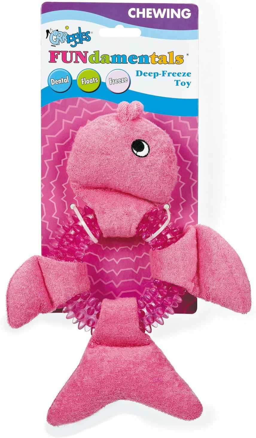 Fundamentals Deep Freeze Fish Puppy and Dog Toy