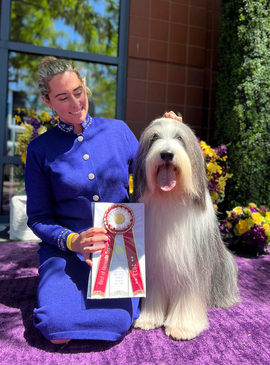 MD10 Professional Dog Shampoo - Biotin (3X+ Concentrated) (300ml)