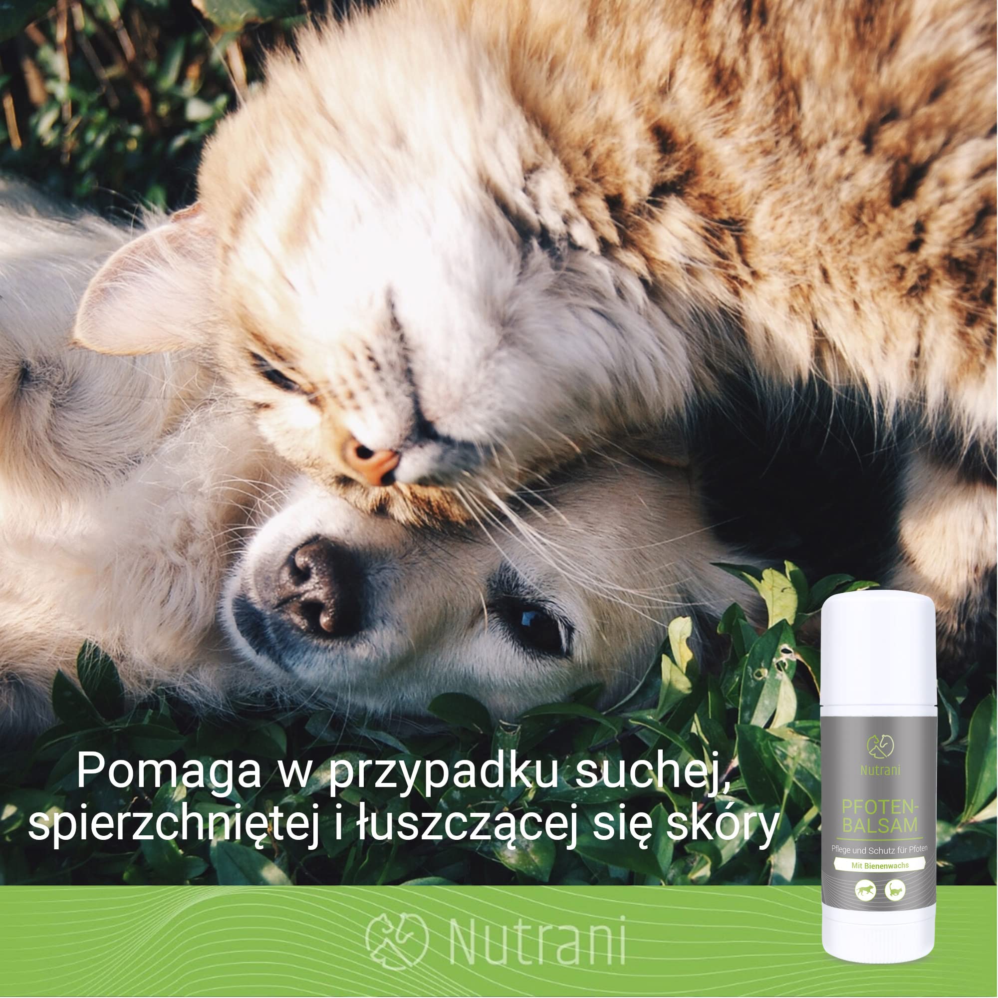 Balsam do łap z woskiem pszczelim dla psów i kotów | 40 ml – 100% naturalny balsam nadaje się do pielęgnacji łap i ochrony łap Wykonano w Niemczech