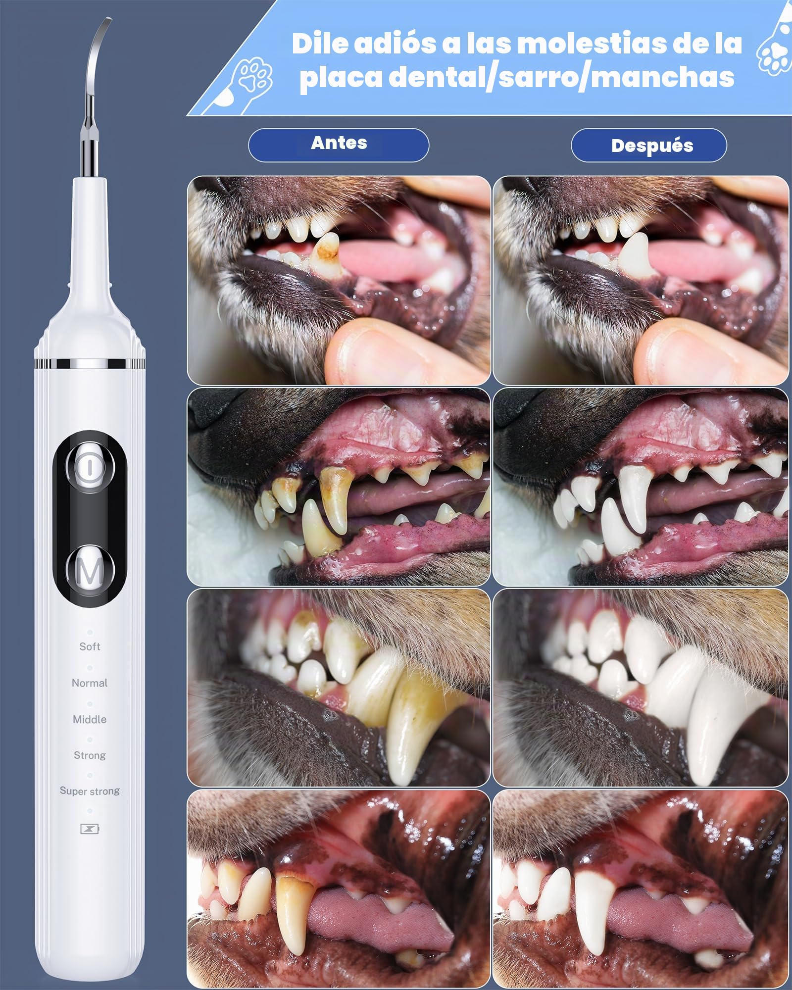 NATURE NERDS Removedor de placa para dientes, kit de cepillado de dientes de mascotas, herramientas dentales para eliminar placa y sarro, seguro para perros y gatos, con luz LED, color blanco