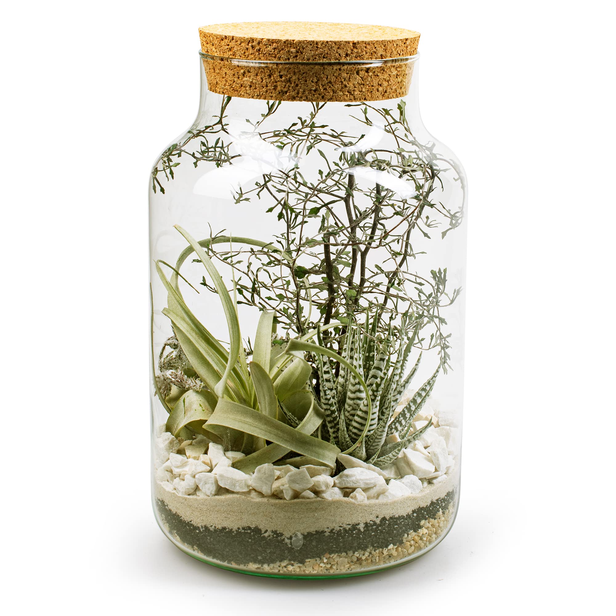 Annastore XXL Pflanzenterrarium inklusive allem - Nur noch Pflanze dazu -Terrarium - Fertig H 30 cm/H 18 / oder H 20- Pflanzterrarium Pflanzenglas - Flaschengarten (H 30 cm Ø 19 cm + Korken)