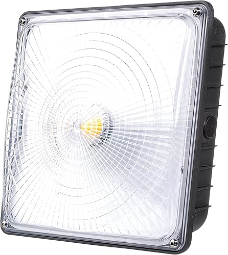 PARMIDA - Luz LED para toldo, 45 W, 0-10 V regulable, 110-277 VAC, IP65 impermeable, certificación ETL, 5000 K (luz de día), 9.6 x 9.6 pulgadas,