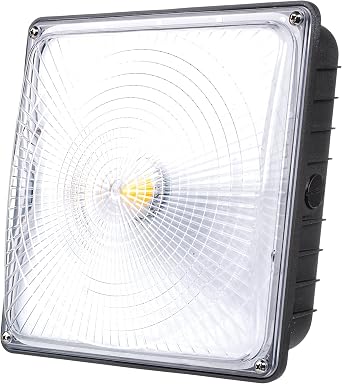 PARMIDA LED Canopy Light, 45W, 0-10V Dimmable,110-277VAC, IP65 Waterproof, ETL-Listed, 5000K Day Light, 9.6" x 9.6", Gas Station, Street, Area & Outdoor Lighting, Bronze