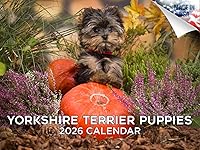 Vista 16 de Razas de Perros 2017