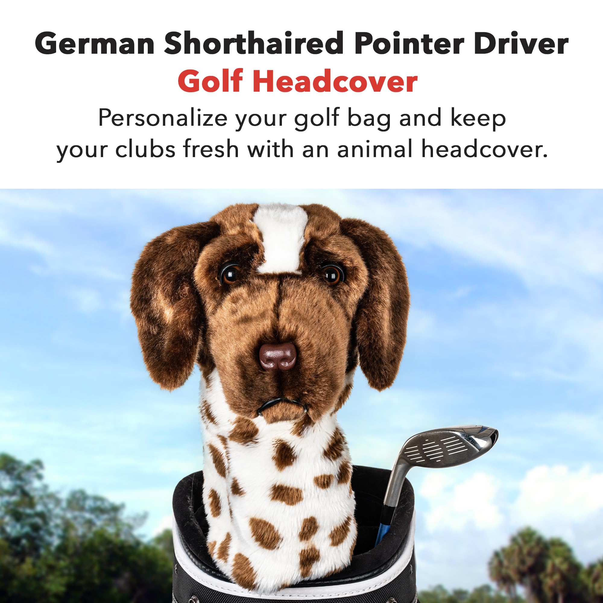 Daphne's Headcovers Deutscher KURZHAARZIGER