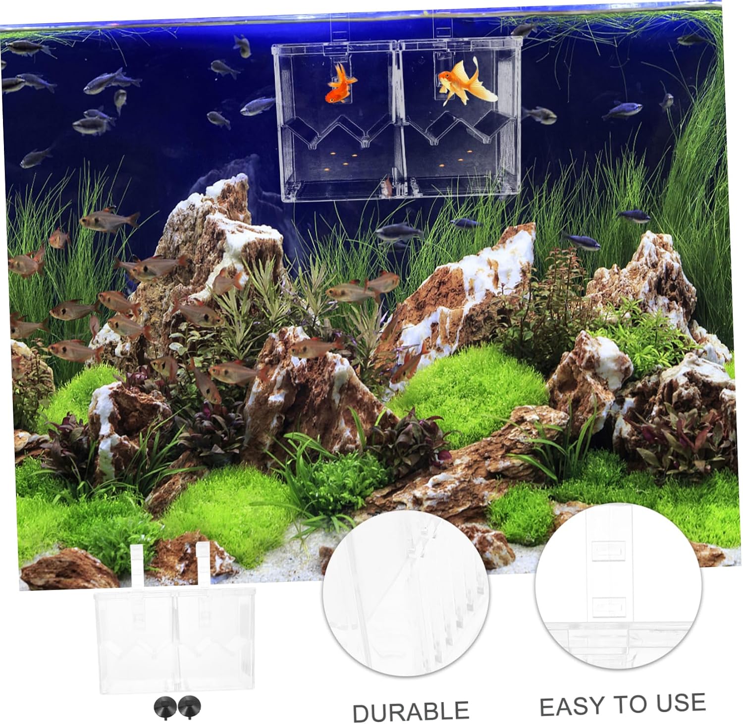 1pc Breeding Box Isolation Plate for Safe Hatching Aquarium Removable Design for Betta and Guppy Fry