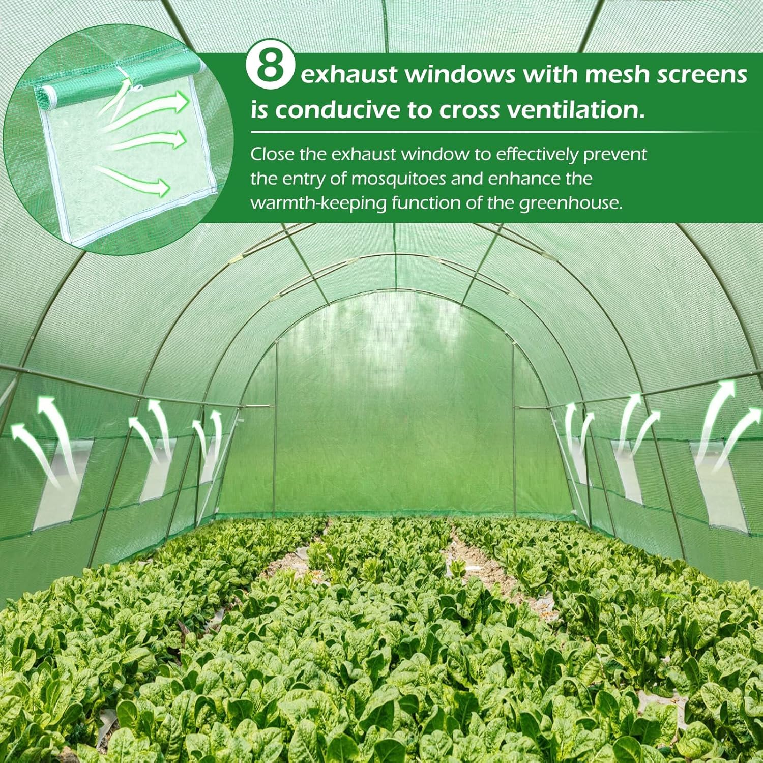 Interior view of the greenhouse showing plants and open roll-up windows with mesh screens for ventilation