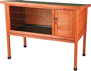 1-Story Rabbit Hutch (M)