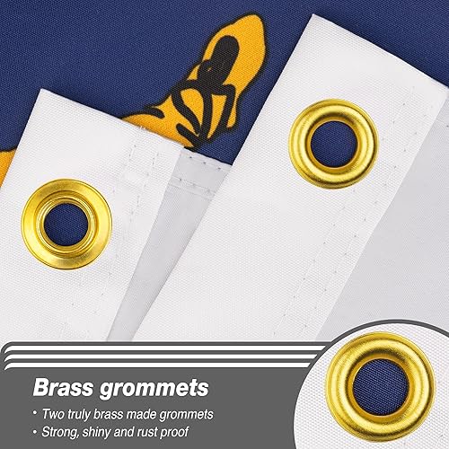 Miniatura 4 de XIFAN Bandera del estado de Massachusetts de doble cara de 3 x 5 pies, poliéster duradero de 3 capas, bandera MA con impresión vibrante, dobladillo