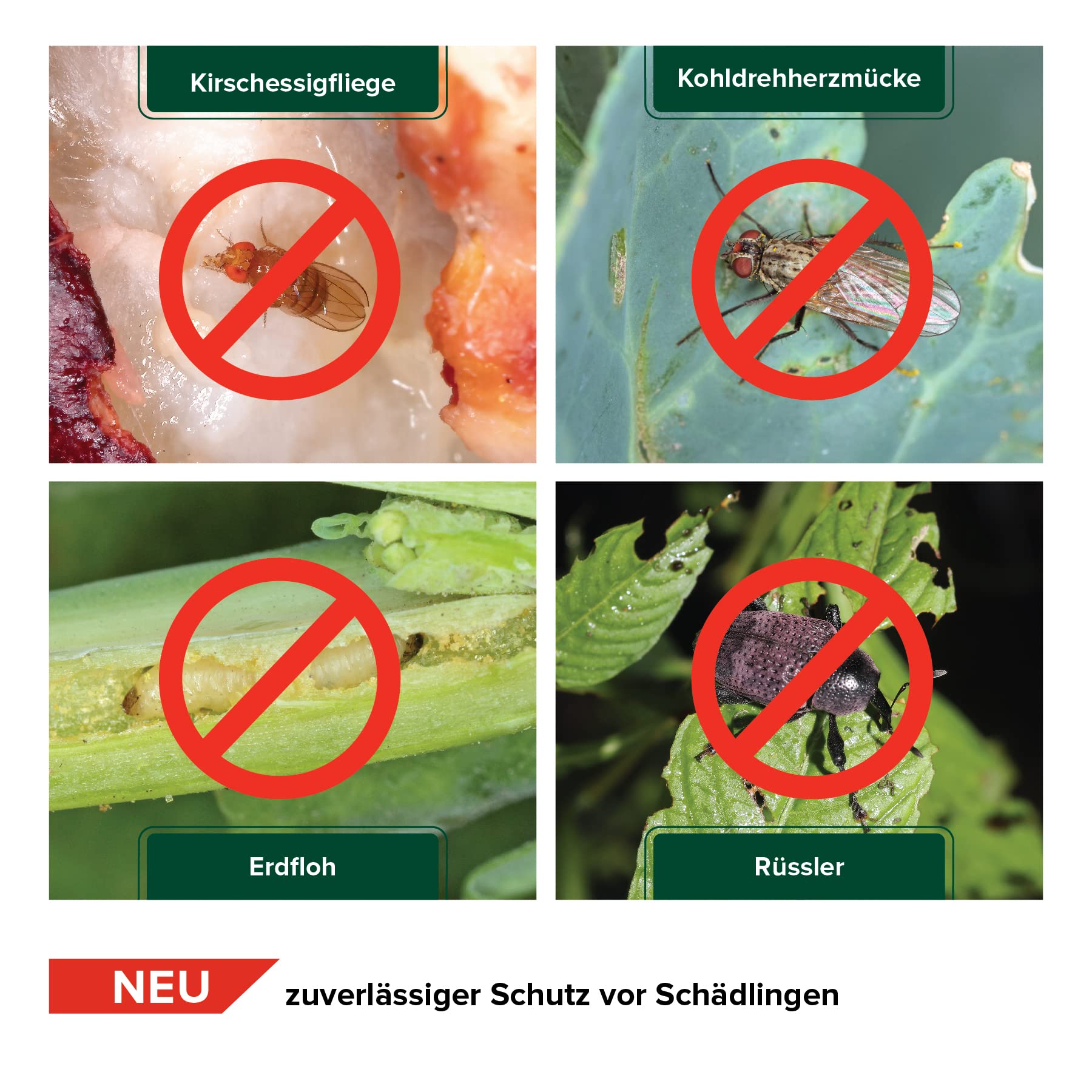 Insektenschutznetz, 6 x 10 m, gegen Kohlfliegen, Kirschessigfliege, Insekten & Schädlinge, Maschenweite 0,8 x 0,8 mm