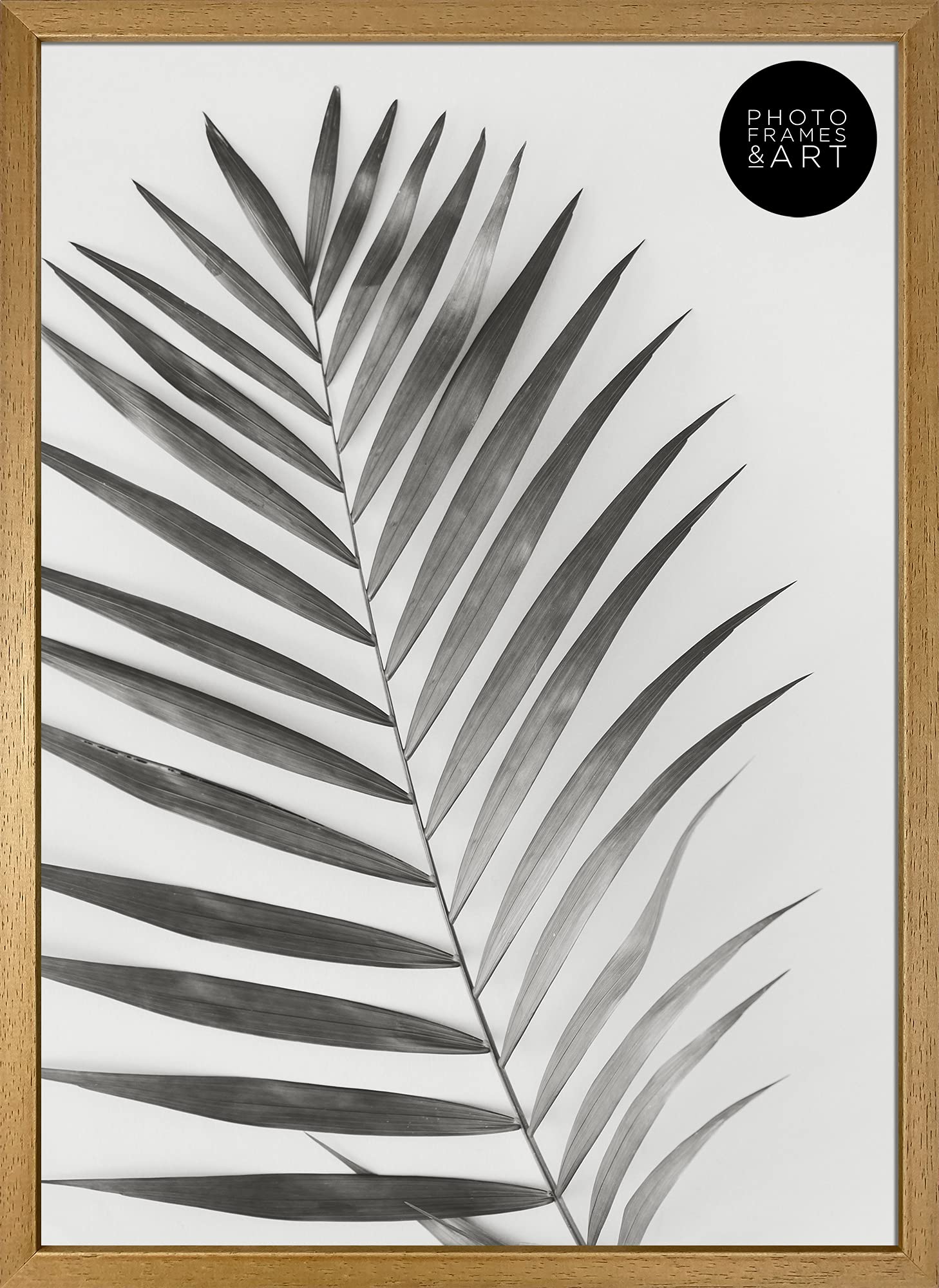pf+a Winchester a3 poster frame - REAL GLASS - Premium A3 Picture Frame - A3 Wooden Photo Frame - A3 Poster Frame