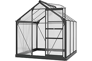 Outsunny 6x6 Greenhouse: Cultivate Your Eden in Urban Spaces