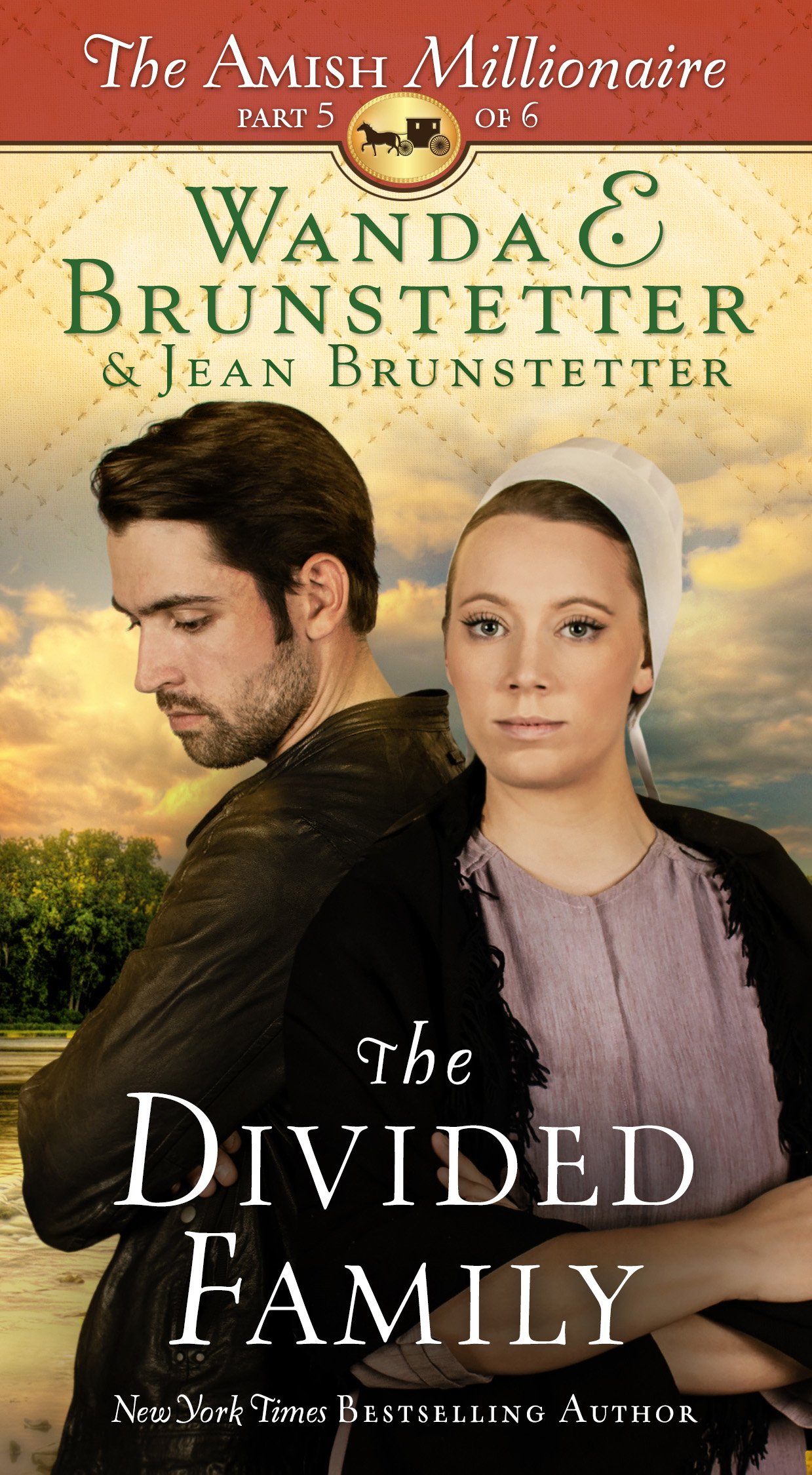 Buy The Divided Family (The Amish Millionaire) — BookShops.in