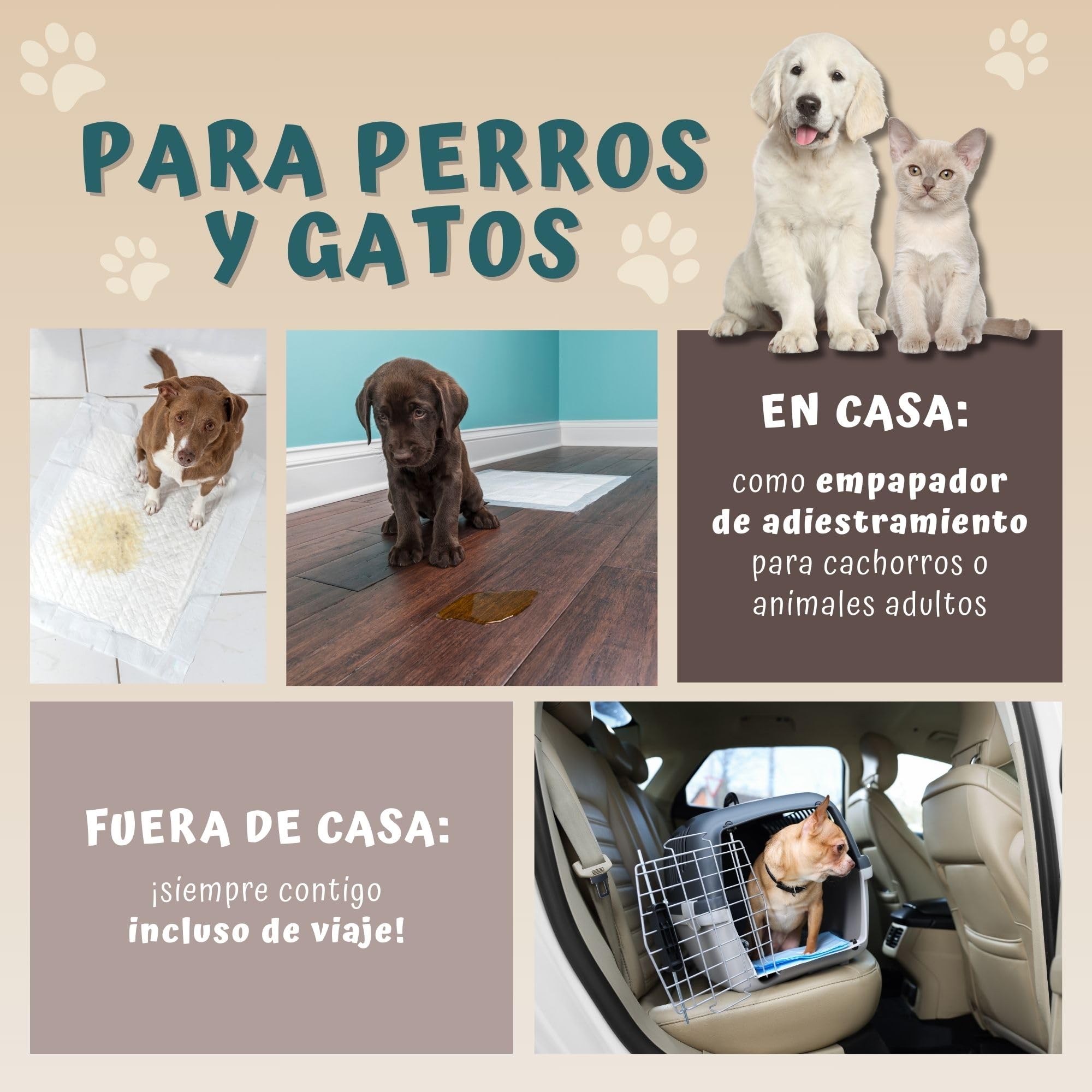 Beauty Case Pet - Alfombrillas higiénicas para Perros, 40 x 60 cm – 180 x Traversine para Perros y Gatos – Desechables, súper absorbentes, antiolores – Absorbencia 5/5