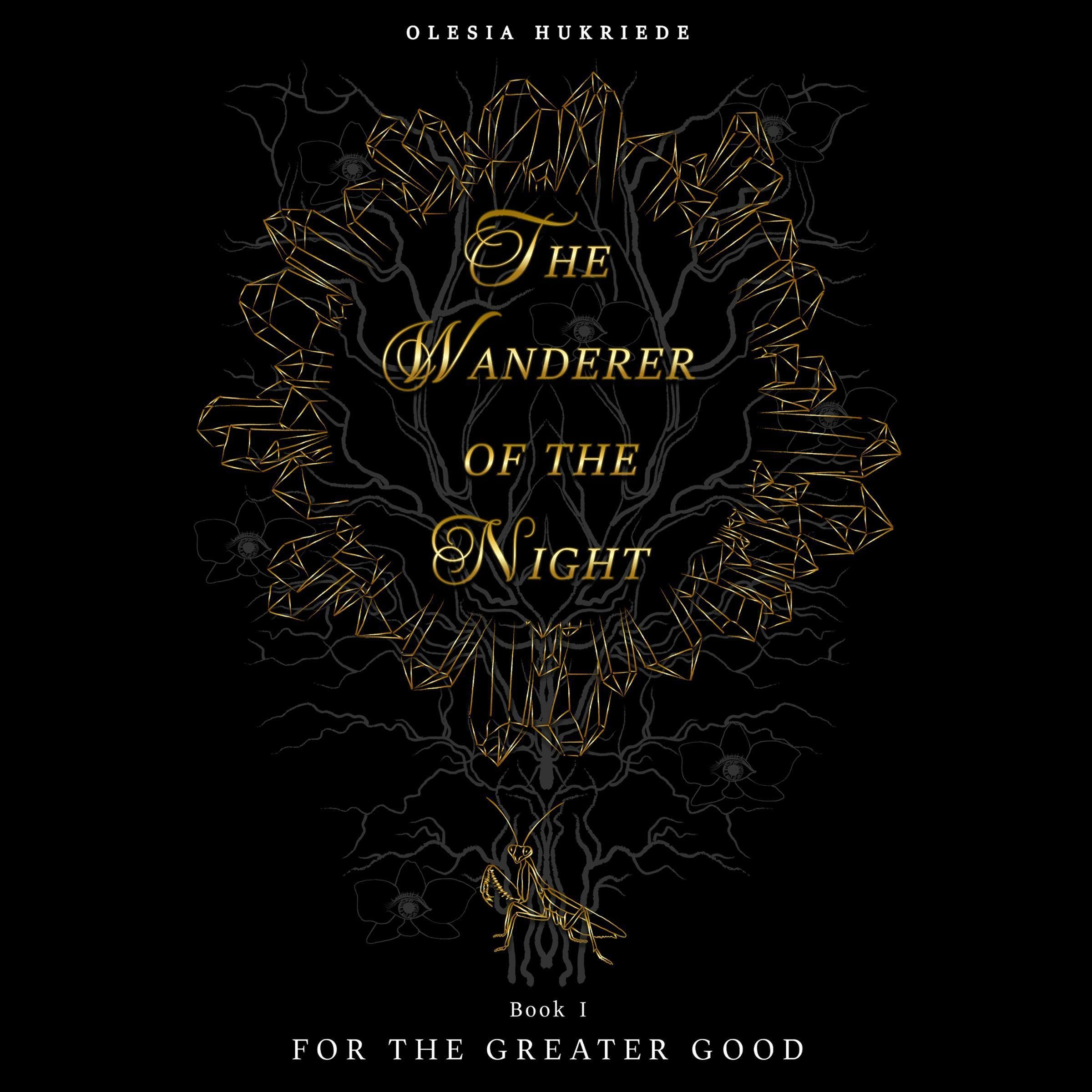 The Wanderer of the Night