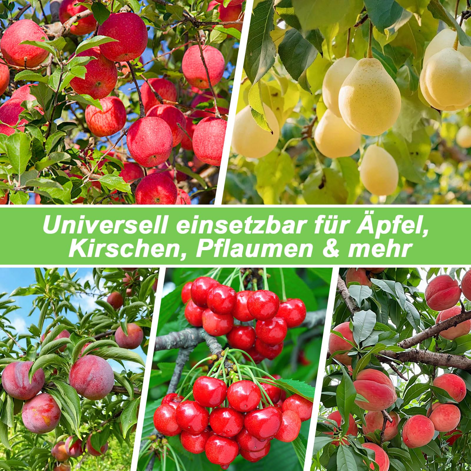 Obstpflücker 4.2m, 10-teilig Teleskop Fruchtpflücker Set mit Sammelbeutel, Erweiterbare Obstsammler für Äpfel, Orangen, Trauben | Mit Sammelbeutel, Erweiterbar, Für Äpfel, Orangen, Trauben