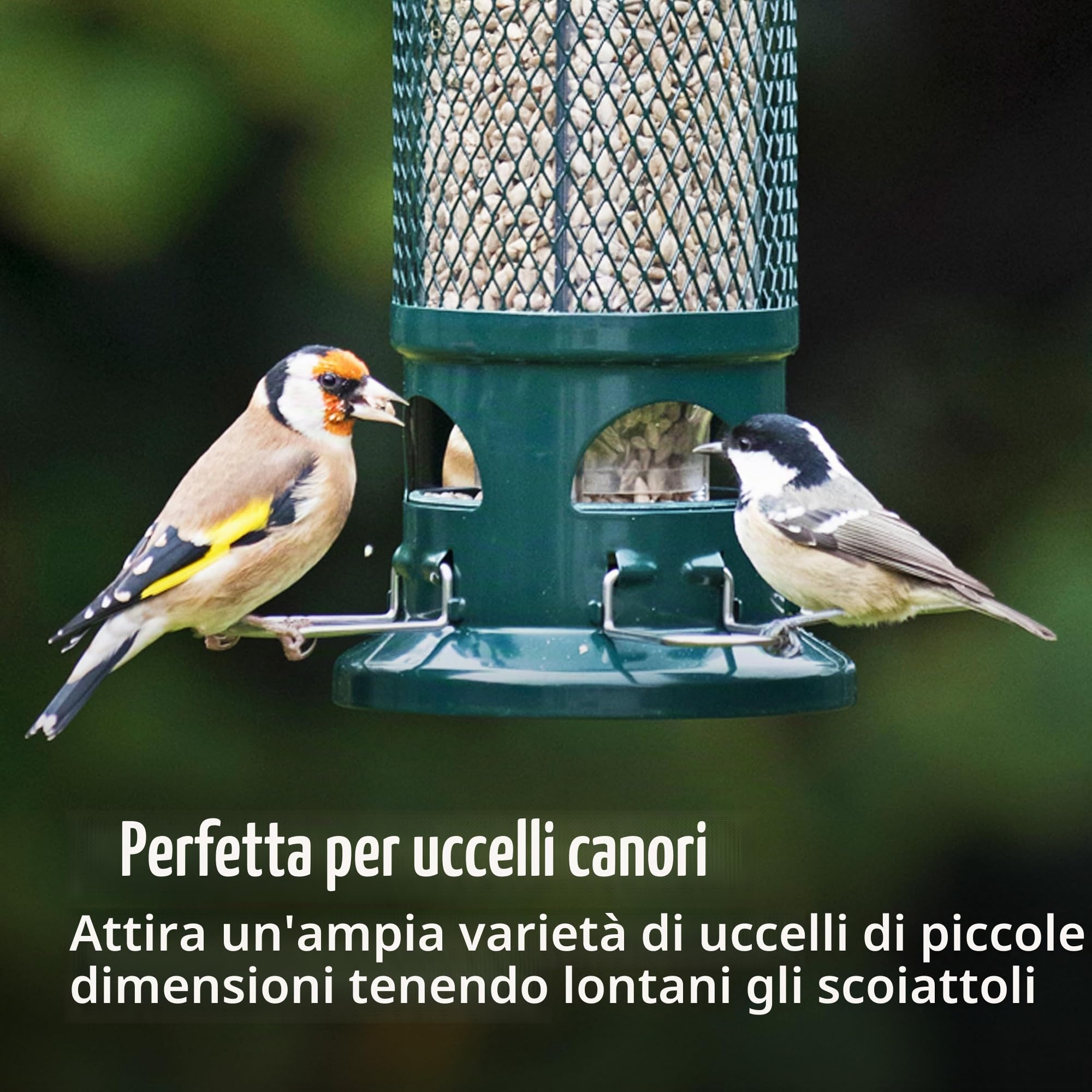 Jacobi Jayne, mangiatoia per uccelli con sistema anti scoiattoli