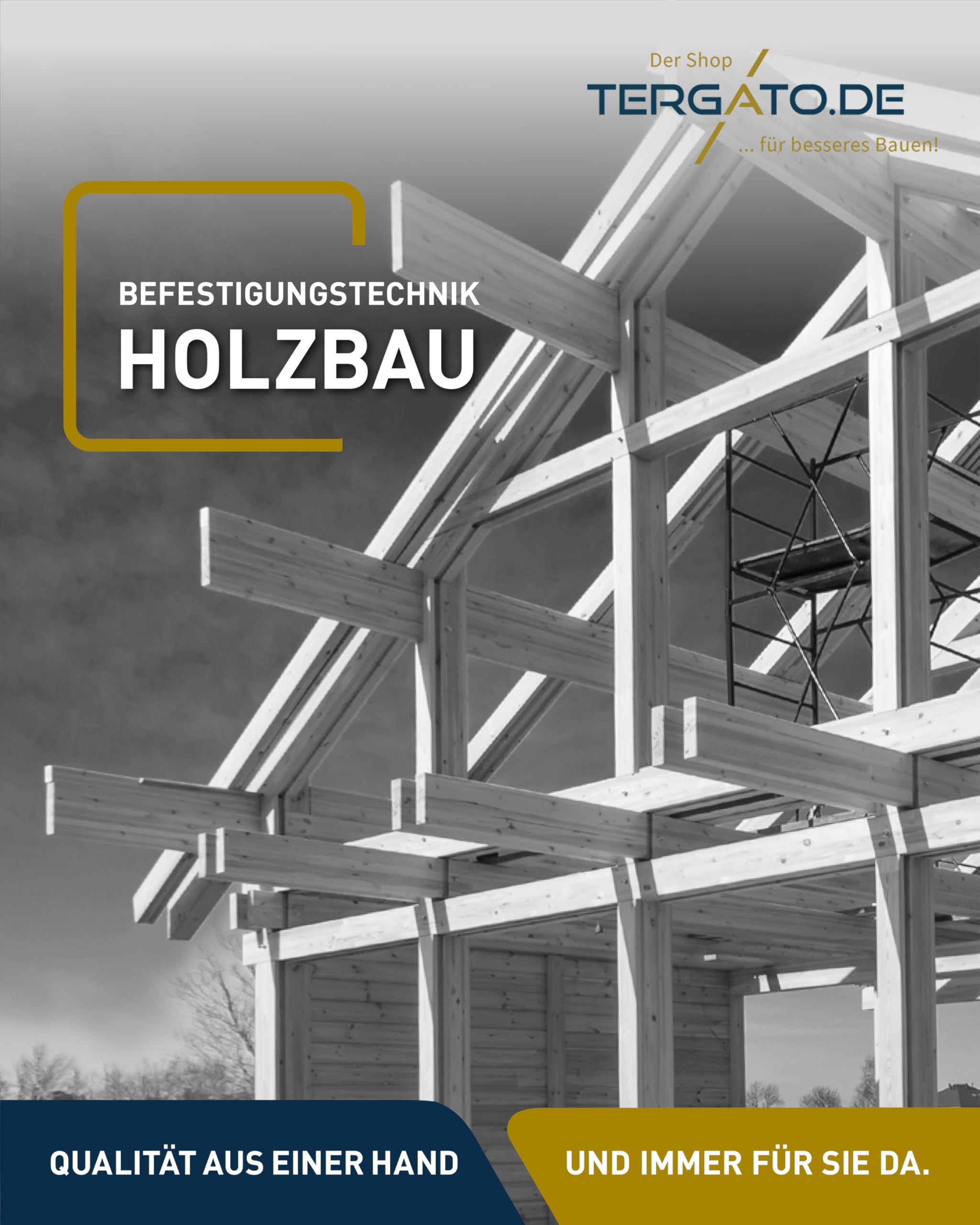 HSI HSeasy PRO TK TX40 Holzbauschrauben 8x300 mm 50 Stk. - TORX Schrauben robust & blau verzinkt, Tellerkopfschrauben für stabile Holzverbindungen