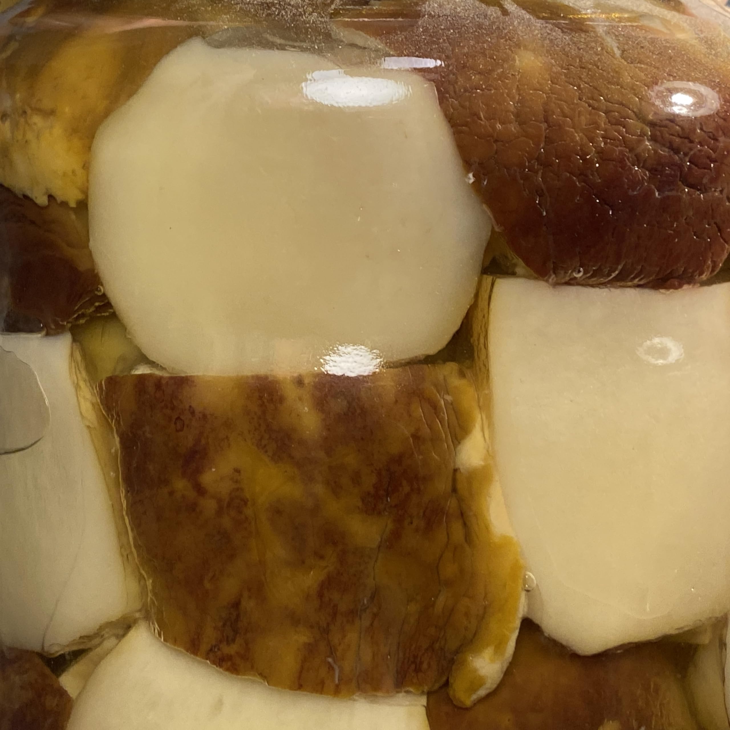 Steinpilze „Testa Nera“ geschnitten in Olivenöl – 3 kg – Gourmet Antipasti zum Teilen – Perfekt für Feste, Feiern & gesellige Runden