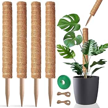 Moss boards Q57 22-23　MOSS STICK Amazon.com : Moss Pole 56 Inch, 4 Pcs Moss Pole Monstera Plant
