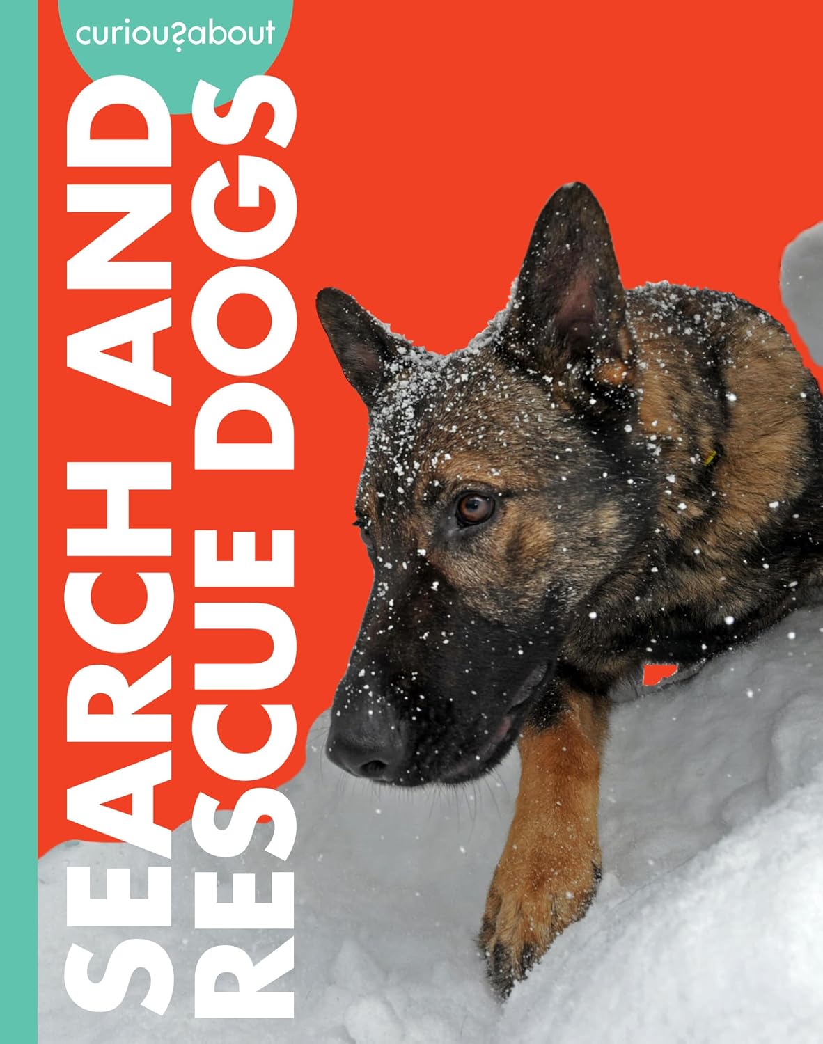Curious about Search and Rescue Dogs (Curious about Working Dogs)