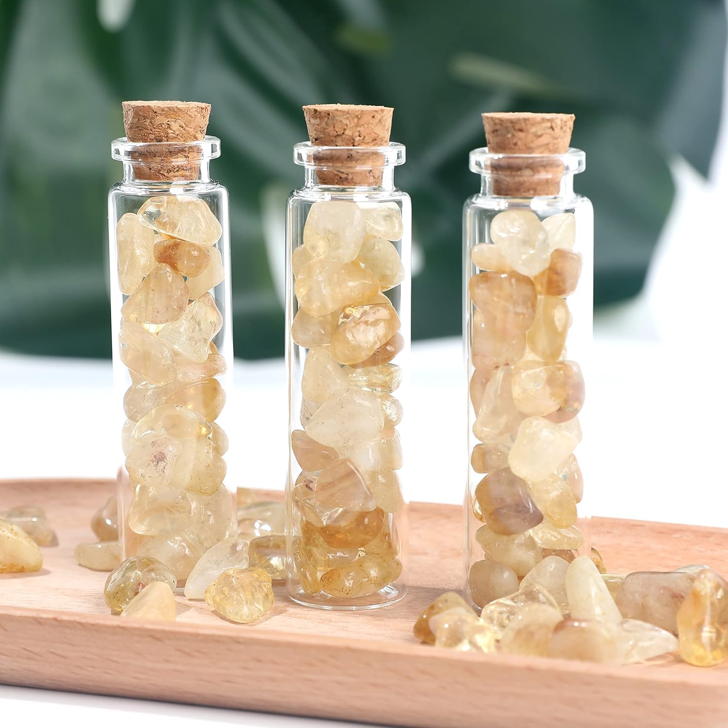 Magic Season Decorative Glass Bottles (24 Pcs / 0.68 fl oz.)
