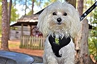 Vista 8 de EcoBark Correa para perro – Correas cómodas suaves y reflectantes con mango acolchado – Fuerte, duradera y resistente, entrenamiento y tracción