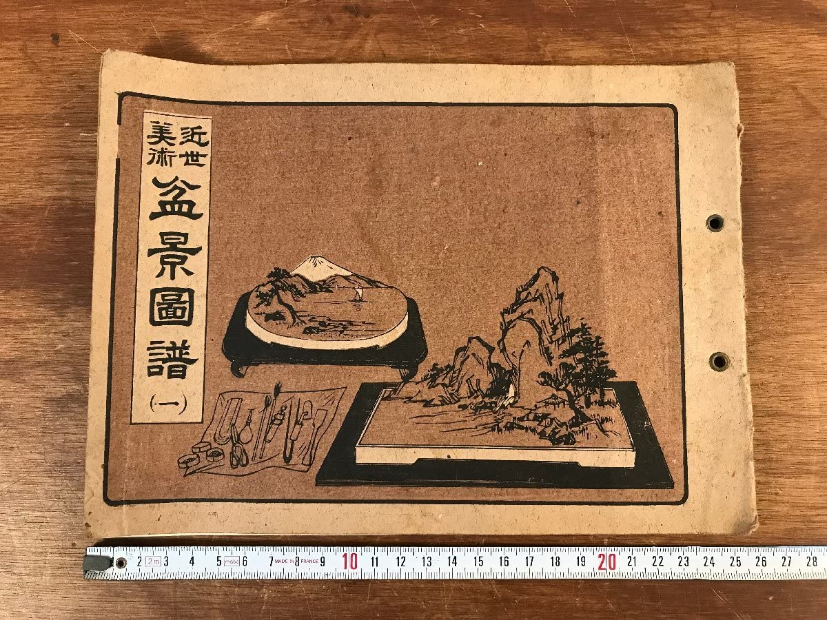 Amazon.co.jp: LL-5196 近世美術盆景図譜 大正13年 杉政湘雲 木版画