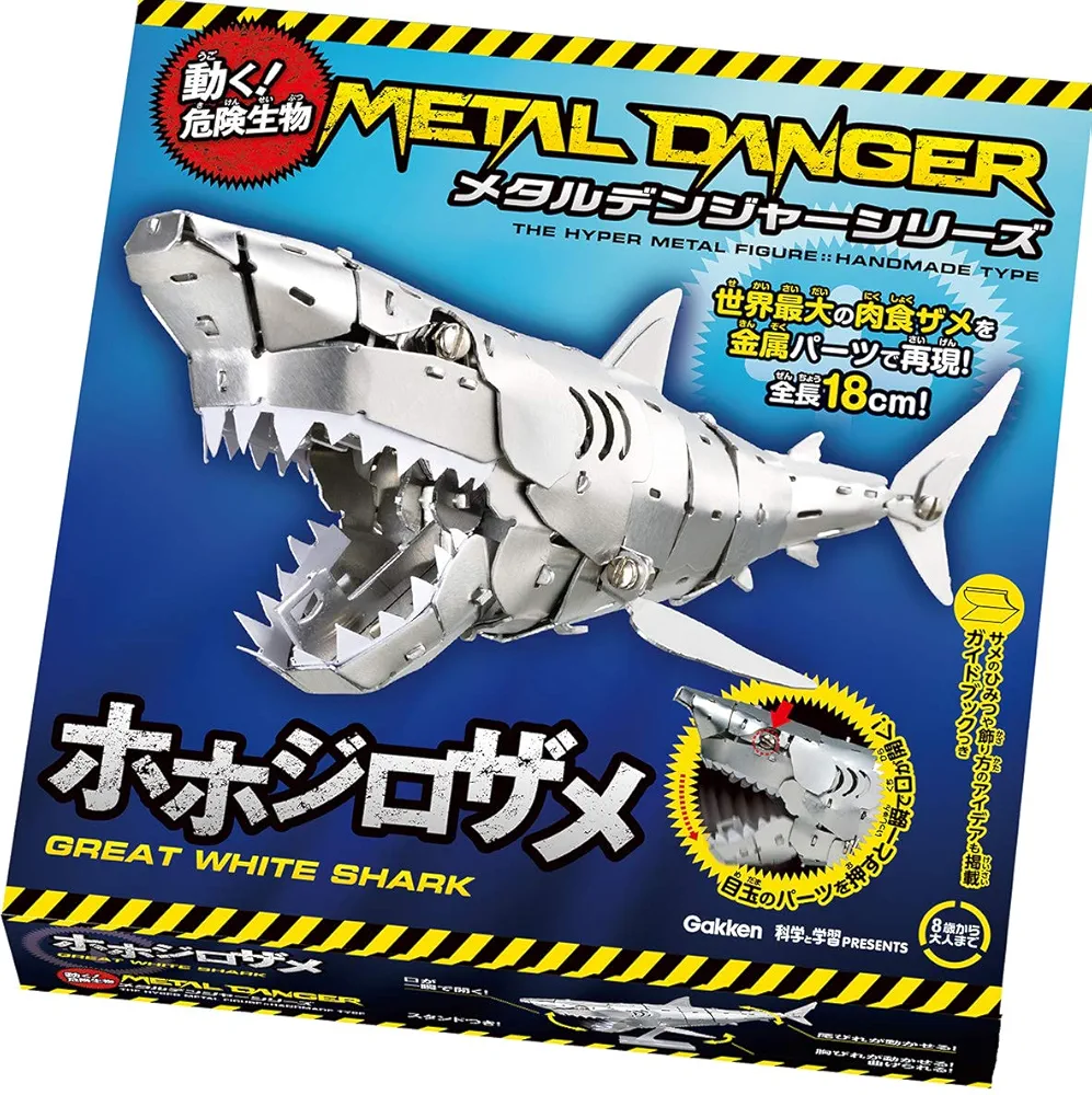 サメの歯まとめ売り箱付き サメの歯まとめ売り箱付き - メルカリ