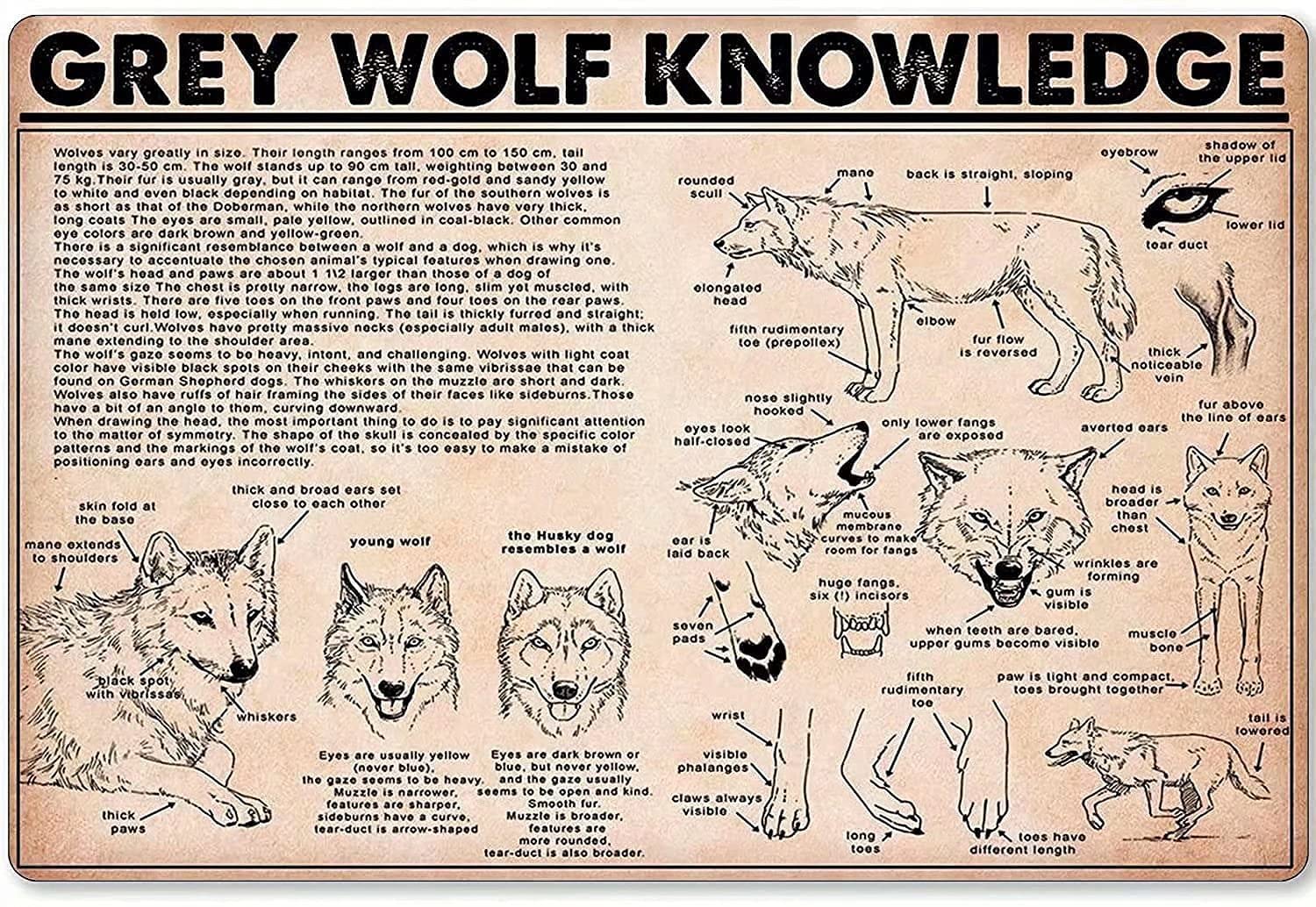 Metal Tin Sign Grey Wolf Knowledge Metal Signs,Tavern Poster Garage Man Cave Club Novelty And Interesting Bathroom Toilet Wall Decoration 12X16 Inch