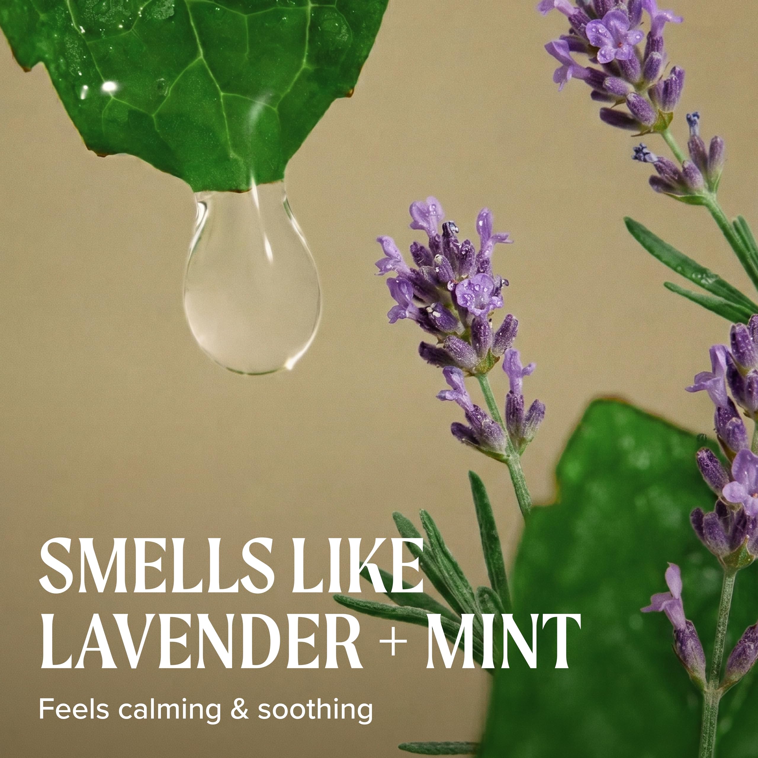 Paul Mitchell Tea Tree Lavender Mint Moisturizing Shampoo - Feuchtigkeits-Shampoo für trockenes, geschädigtes Haar, wohltuende Haar-Wäsche
