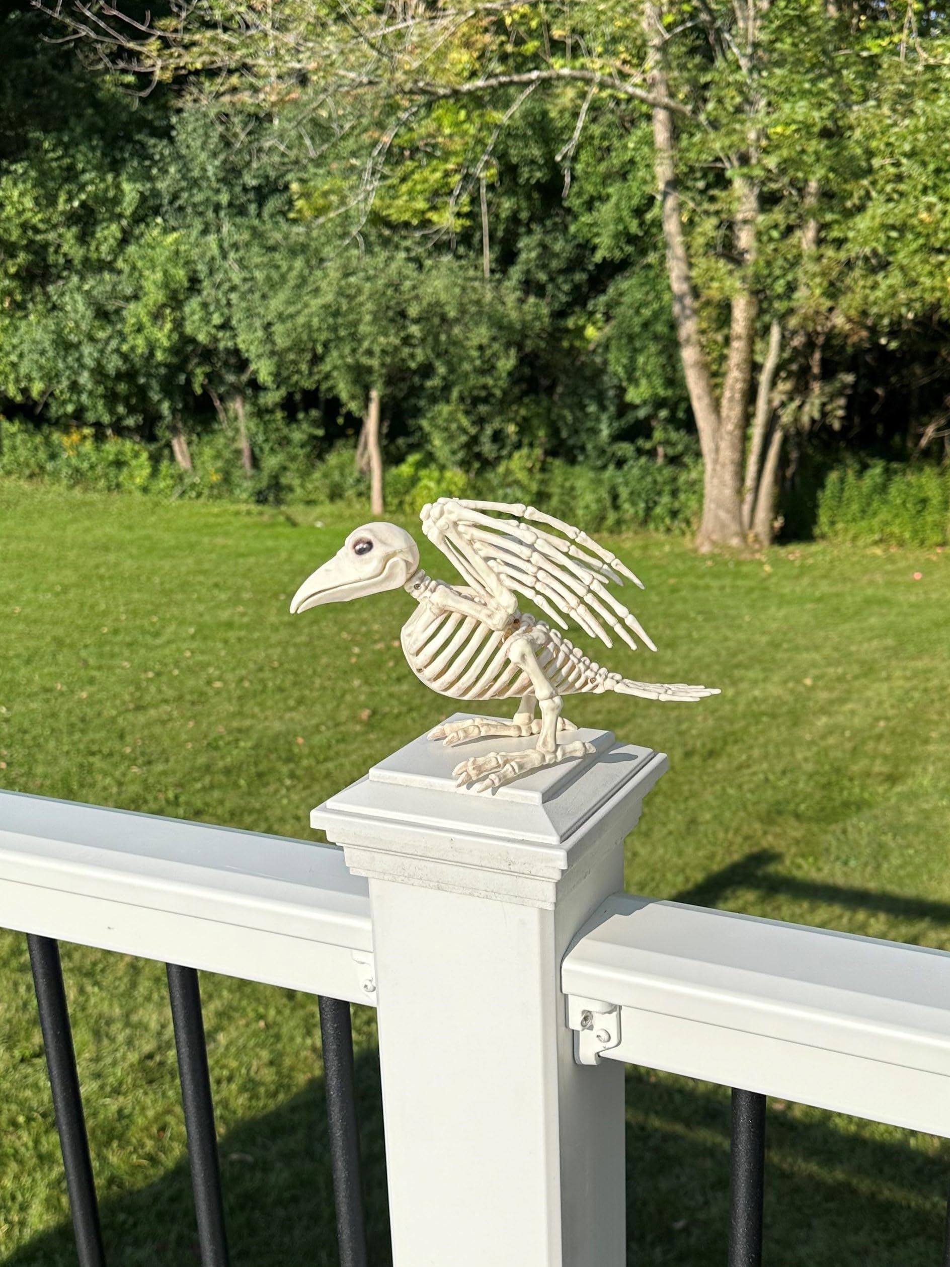 Amazon.co.jp: Crazy Bonez スケルトンバード : DIY・工具・ガーデン