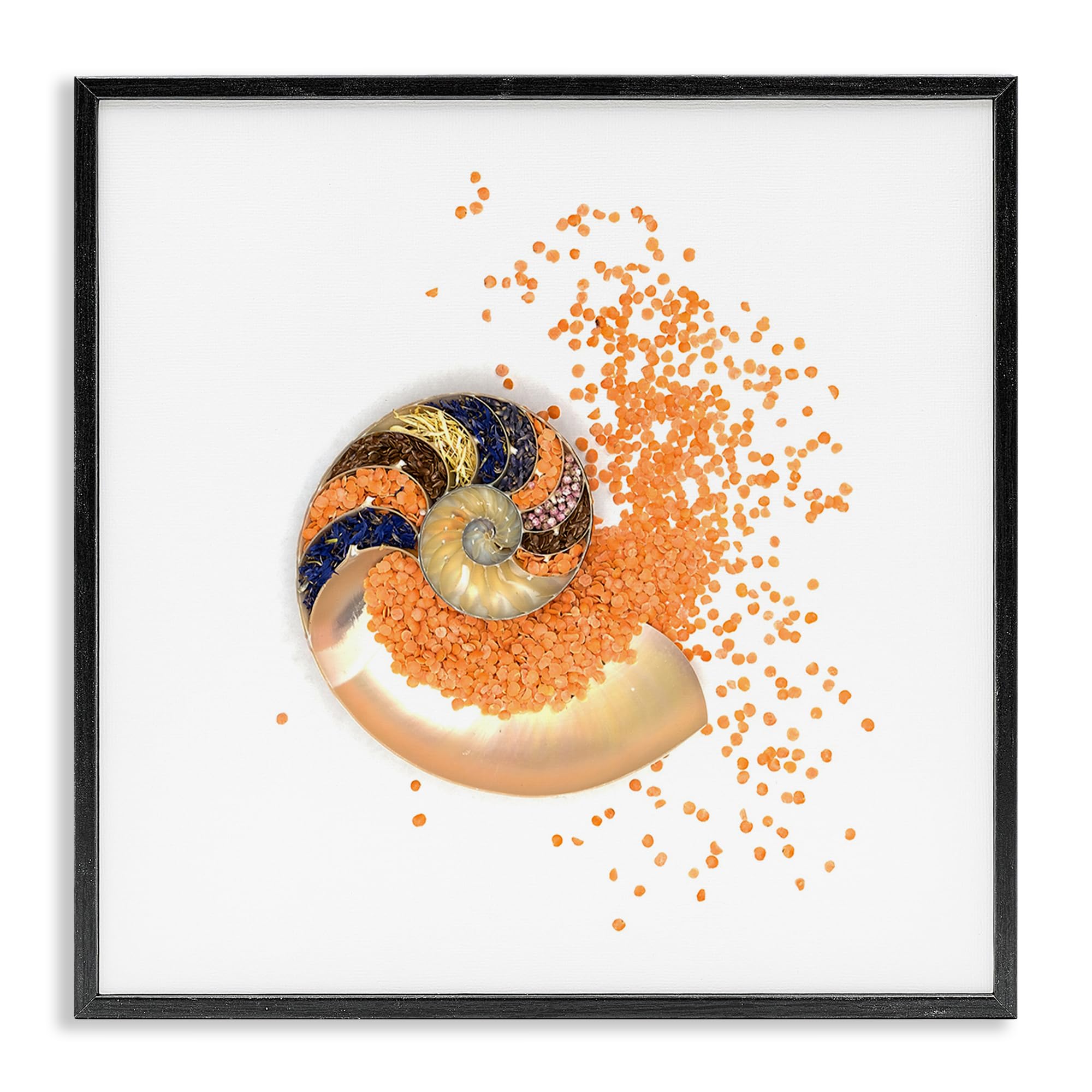 Nautical Orange Nautilus Spiral, 24 x 24 Inch Framed Giclée Print