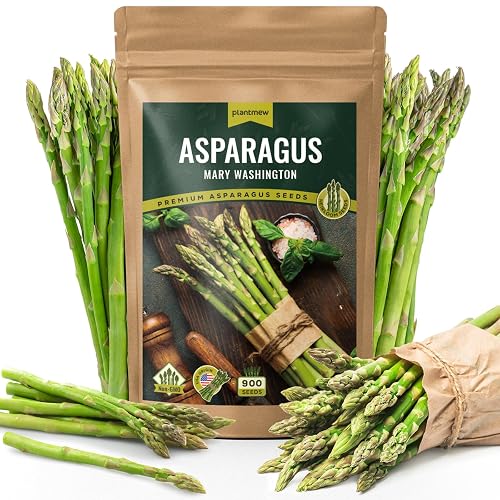 Mary Washington Asparagus Seeds - 900 Seeds, Non-GMO Heirloom Seeds