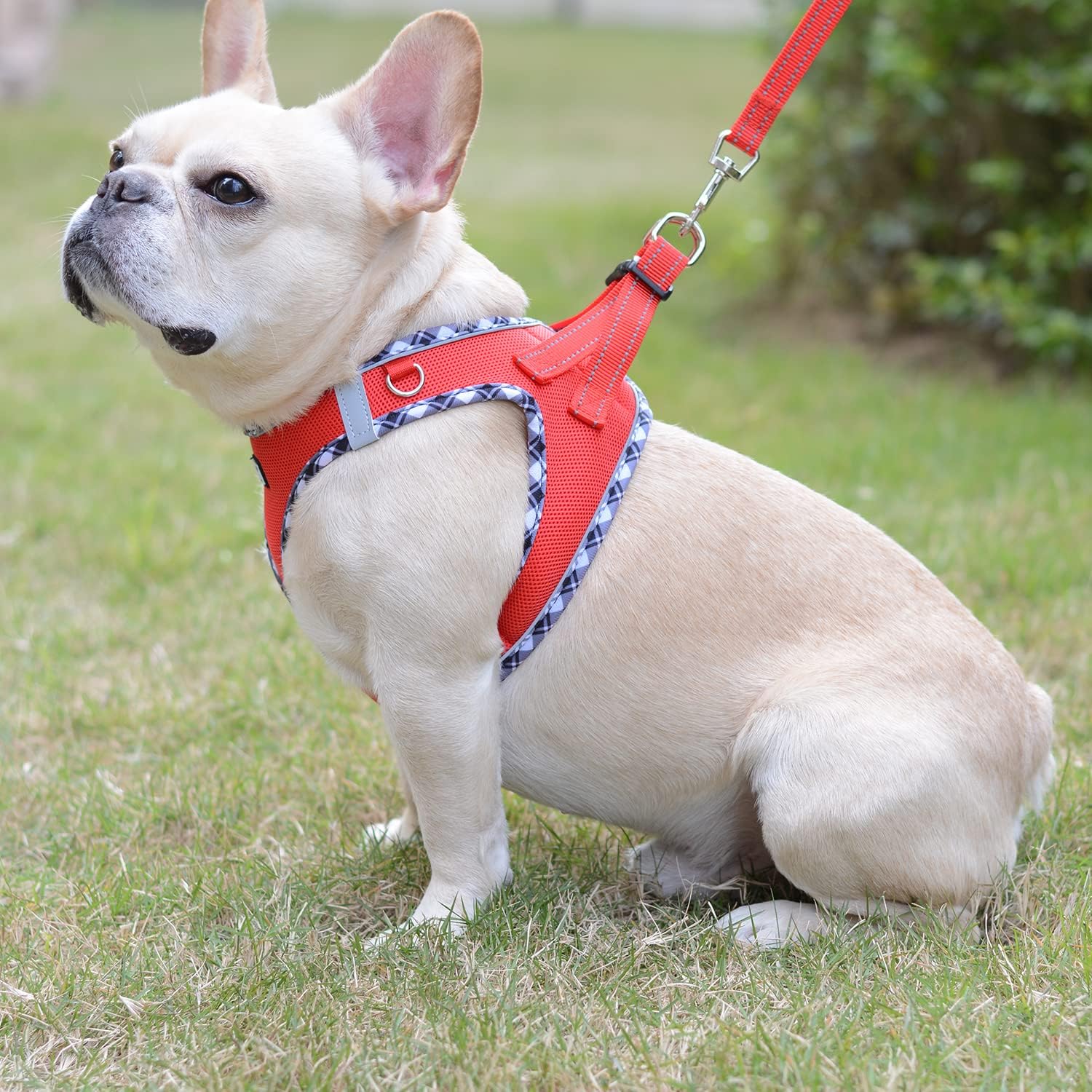 Mercano Soft Mesh Dog Harness and Leash Set, Step-in Reflective Breathable Lightweight Vest Harnesses with Safety Buckle for Small Dogs, Cats (Red, XL) image 5