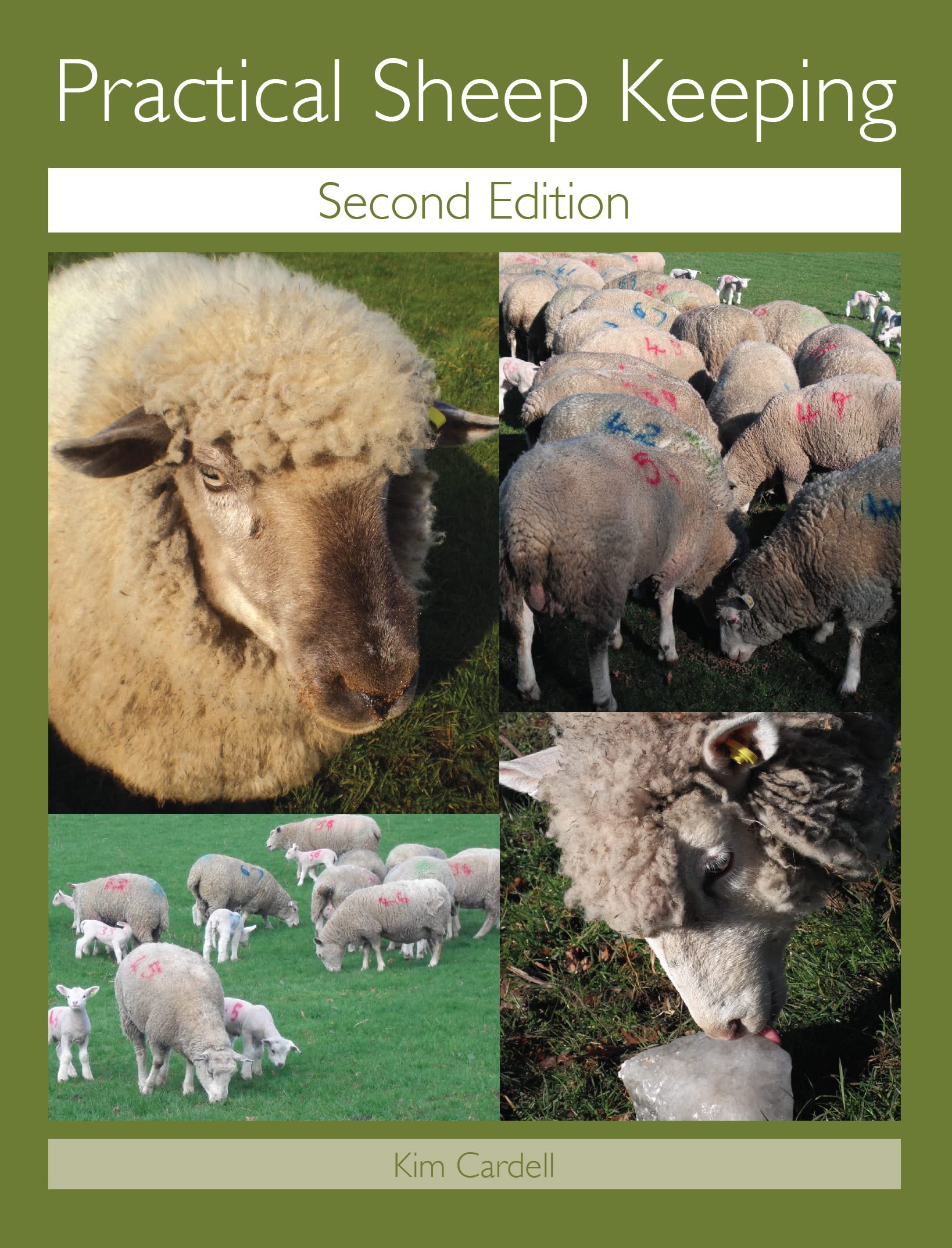 Practical Sheep Keeping,Kim Cardell- 9781847973399