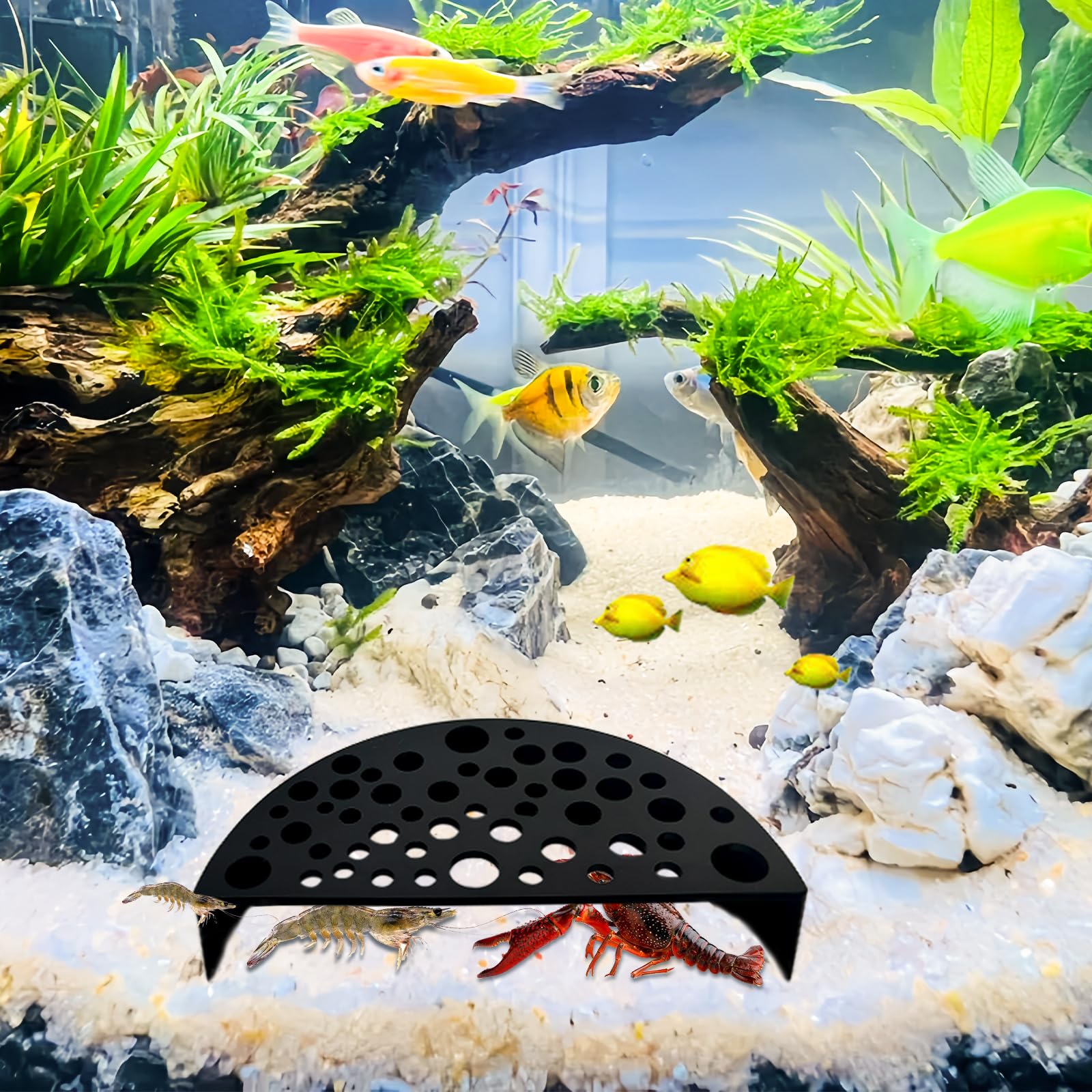 LuckyOpt Shrimp Hides for Aquarium, Shrimp Cave with Holes, Shrimp Hide for Aquarium Fish Tanks Shrimp Ponds Breeding Tanks, Hideout for Shrimp & Small Aquarium Fish (Black) - Image 4