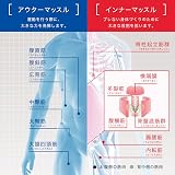 MTG TAIKAN STREAM(タイカン ストリーム)の商品画像