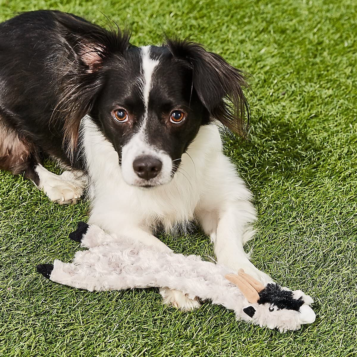 Ethical Pet Spot Mini Skinneeez Crinklers Goat Plush Squeaker Dog Toy - 5 Pack