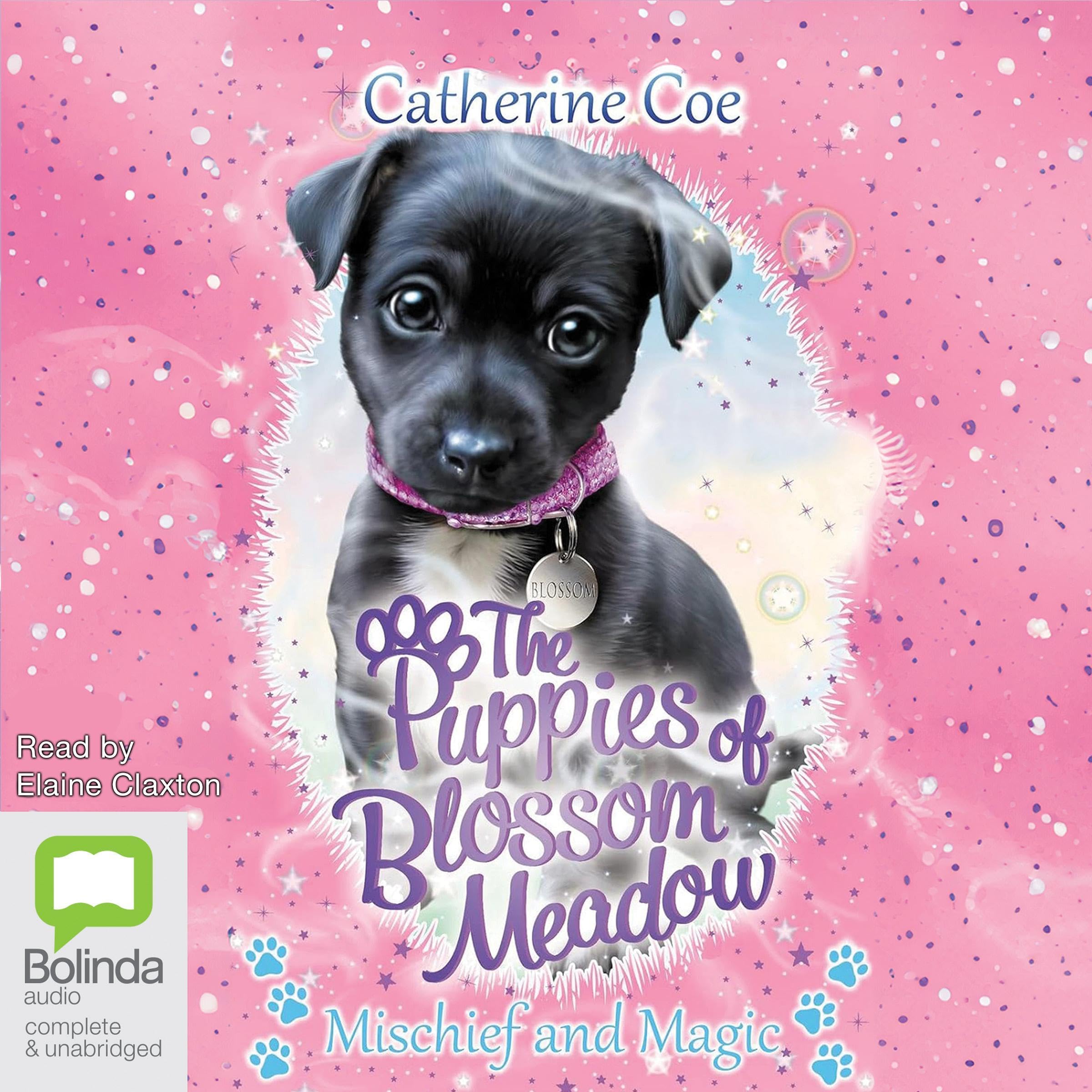Cover art for Mischief and Magic