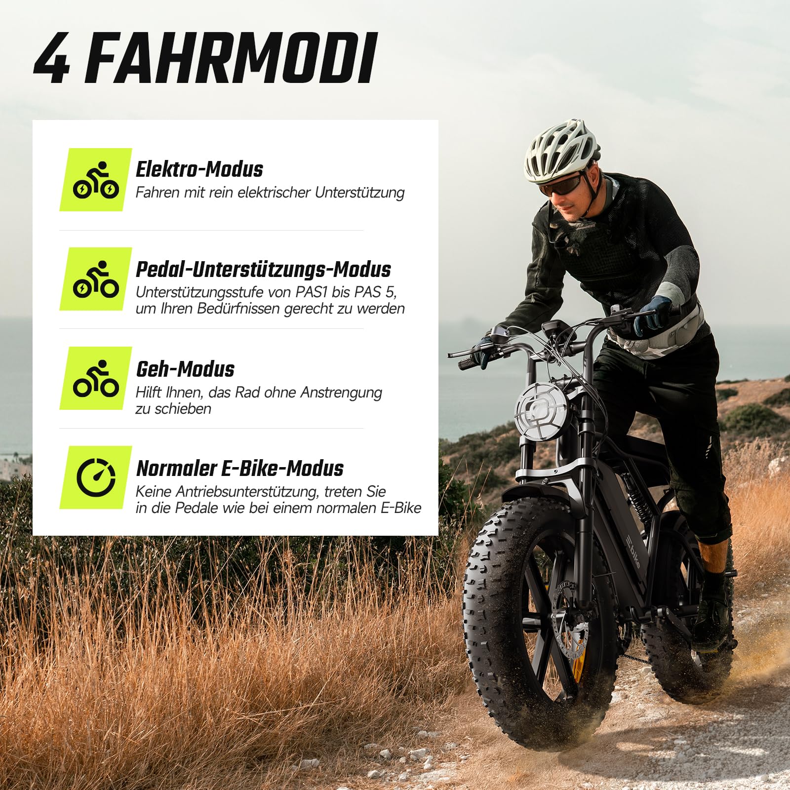 SISIGAD E Bikes Mountainbike Fatbike 20 Zoll mit 48V 15Ah/ 25Ah Batterie, Elektrofahrrad Herren Damen Elektro Fahrrad mit LCD Display und App, Ebike 250W Motor 25km/h E Fahrrad