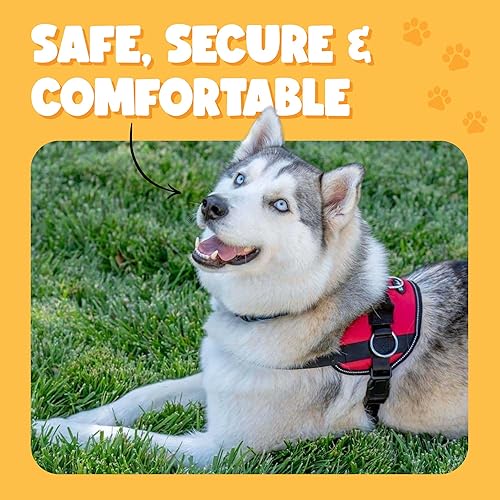 Miniatura 5 de Bark Appeal Arnés para perro, arnés sin tirones, ajustable y reflectante, arnés de chaleco acolchado suave sin estrangulamiento con mango de fácil