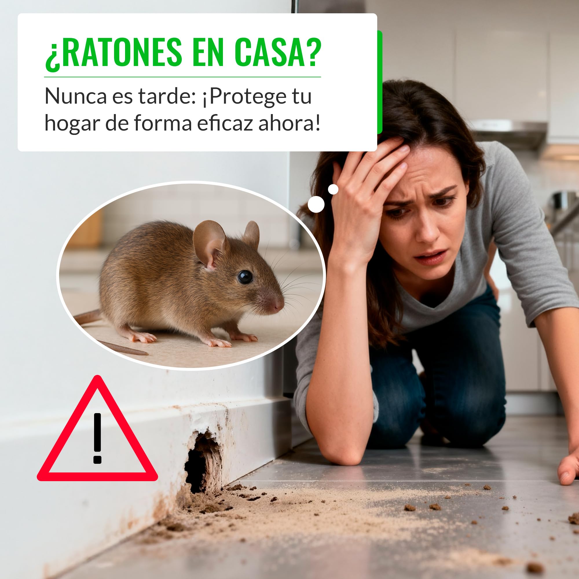 Mice&Co Portacebos para Ratones con Llave - Estación de Cebo para Pequeños Roedores - Trampa Ratones Profesional Caja para Cebo Veneno | Pack 4 Unidades