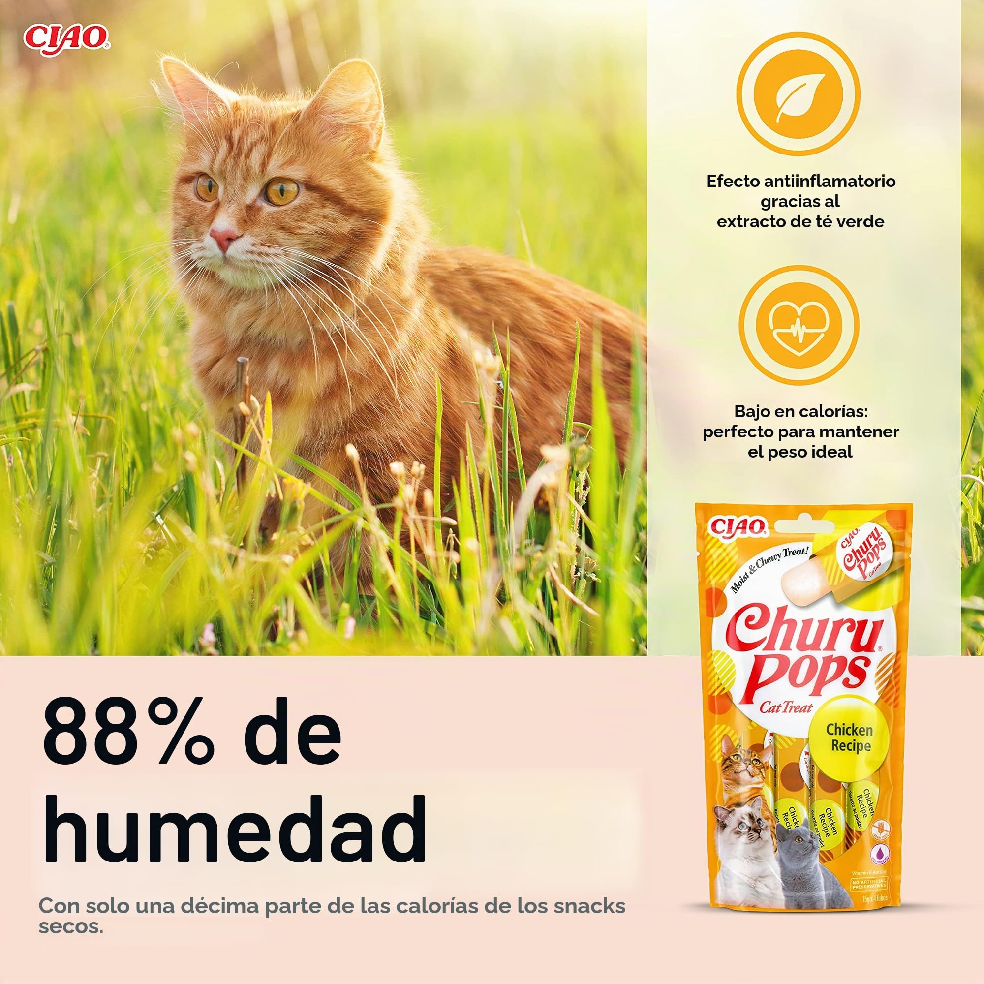 INABA Churu Pops Snack para Gatos en Barra de Gelatina de Pollo – 12 Paquetes (48 Barras x 15 g) – Comida Saludable y Sabrosa para Gatos, Textura Suave – Snack sin Conservantes