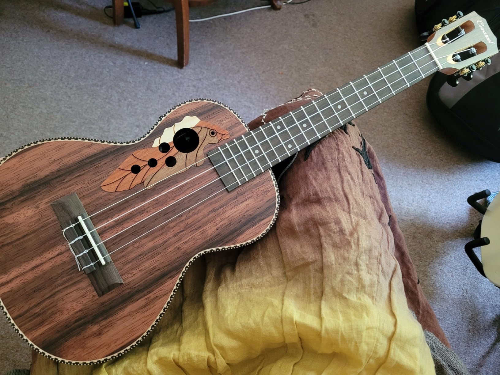 8/mo Finance Caramel Acoustic & Electric ukulele, MC12 Zebrawood