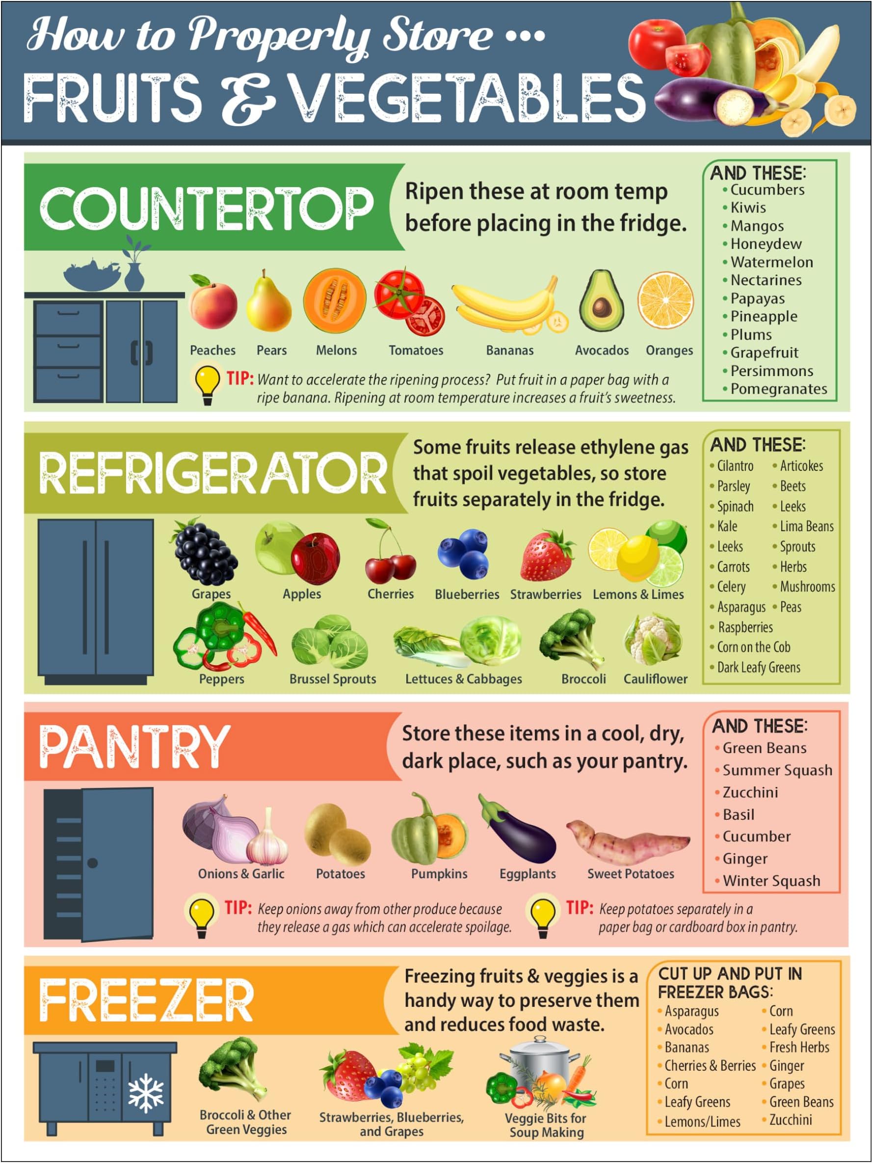 Lone Star Art How To Properly Store Vegetables and Fruit Magnets - Kitchen Cheat Sheet Magnet - Fruit and Vegetable Magnets for Fridge - 6"x8" Helpful Magnetic Cheat Sheet - Chart for Storing Produce