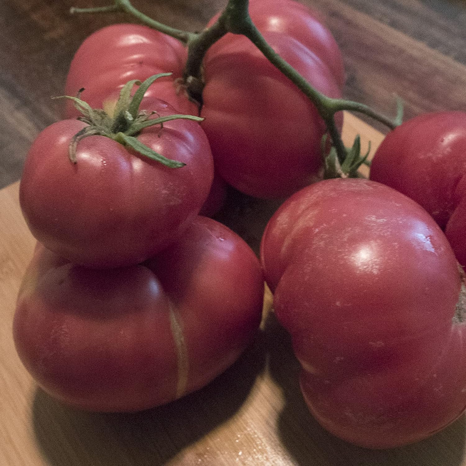 Containers Choice Pink F1 Hybrid Tomato Seeds 300 Mg